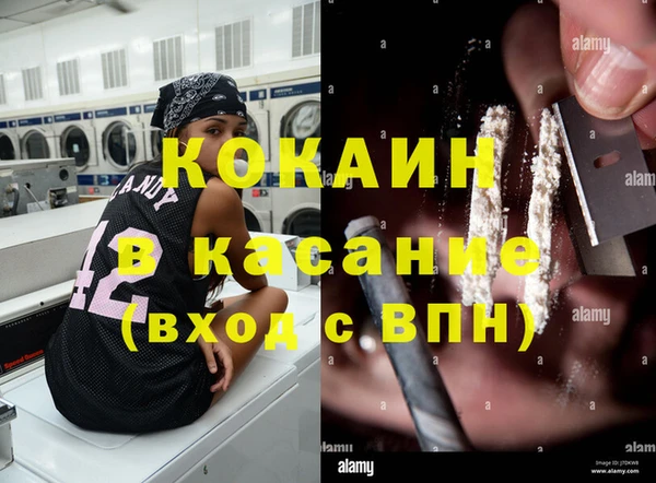 ПСИЛОЦИБИНОВЫЕ ГРИБЫ Алексеевка