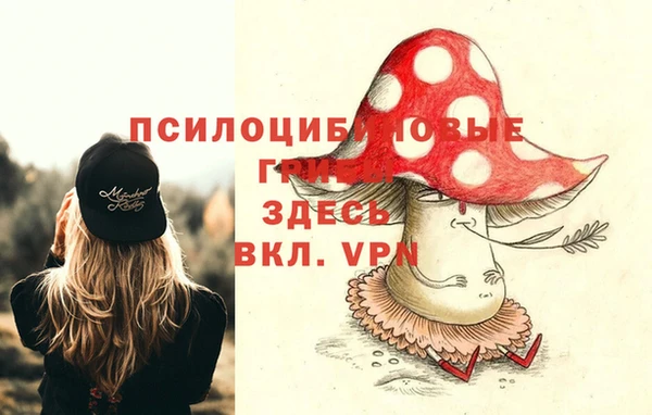 мдпв Алексин