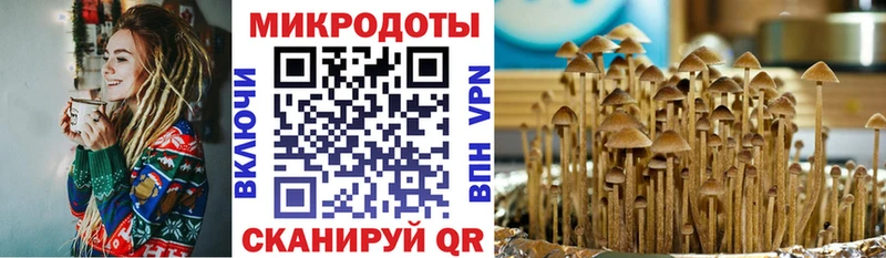 Галлюциногенные грибы Psilocybine cubensis  закладка  Раменское 